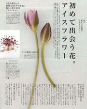 花時間　2008年5月号