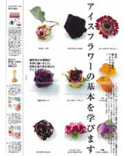 花時間　2008年6月号