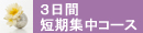 認定講師資格取得3日間短期集中コース