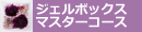 ジェルボックスマスターコース