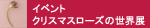 イベント　クリスマスローズの世界展